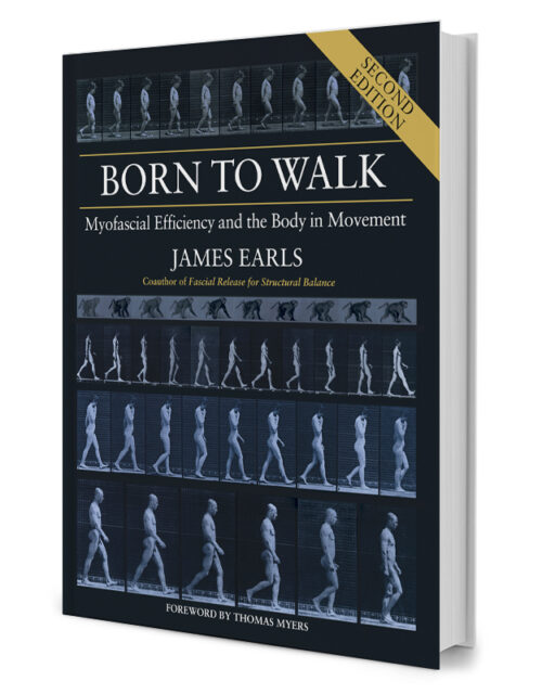 Born to Walk: Myofascial Efficiency and the Body in Movement