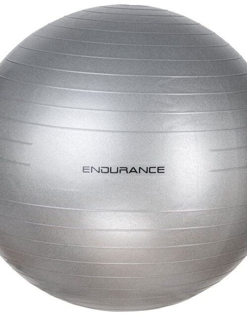 Endurance Gym Ball 55 cm