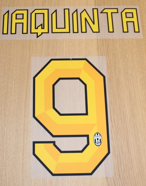 Juventus home printing 2010/11 - Iaquinta 9-Adult