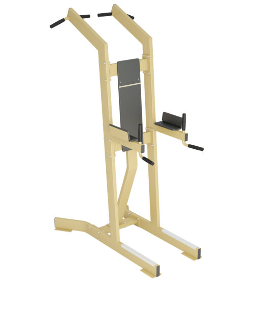 Inter Atletika Pull-Up/Dip/Leg Raise Galvanized