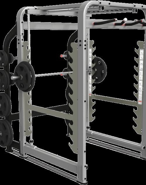 Nautilus Plate Loaded Freedom Rack