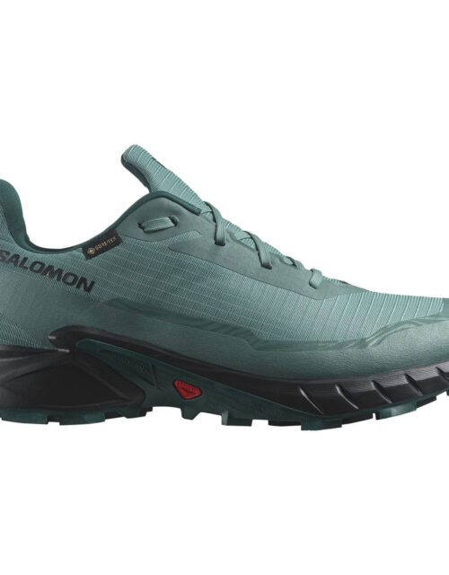 Salomon Alphacross 5 Gore-Tex Herresko