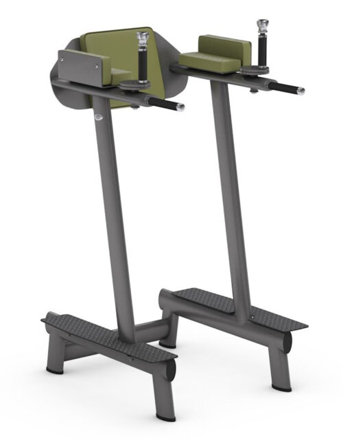 gym80 Leg Raise/Dip