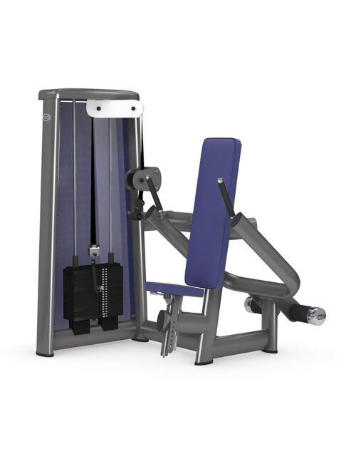 gym80 Sygnum Dip Machine