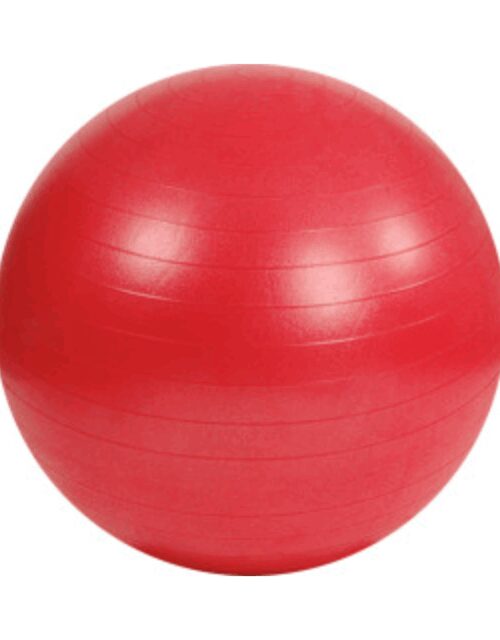 Mambo Max AB Gym Ball | 55 cm - Rød