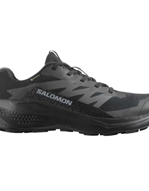Salomon Alphaglide Gore-Tex Vandresko Herre